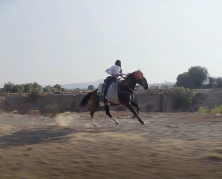 Té de Ruda (Jennifer Remba)