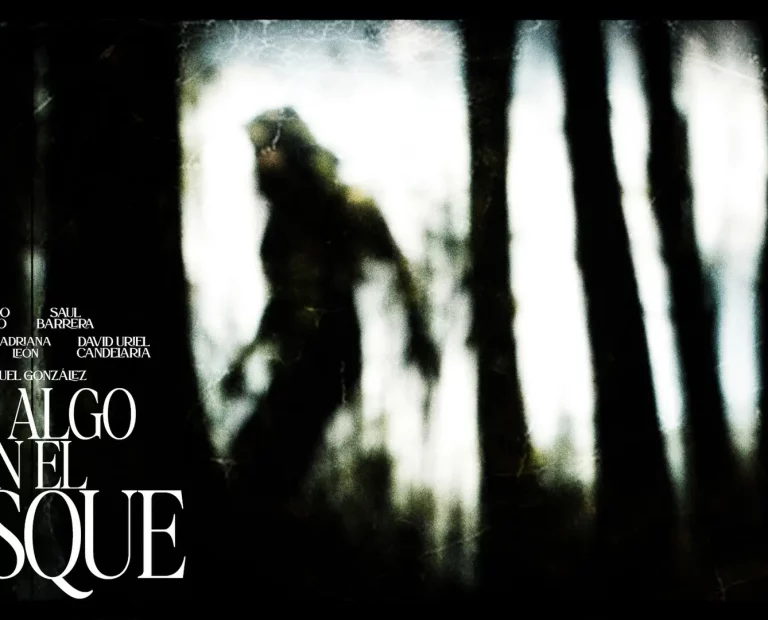 Hay Algo en el Bosque (Saul Barrera)